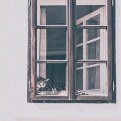 九块九的爱情 (DJ何鹍版)