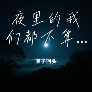 夜里的我们都不算孤单
