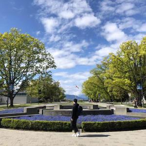 别遗憾的再遇见