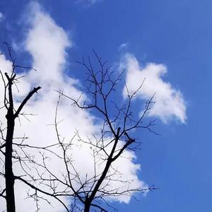 一起看晚霞满天