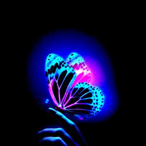 EVERY SINGLE NIGHT (feat. Ech0)