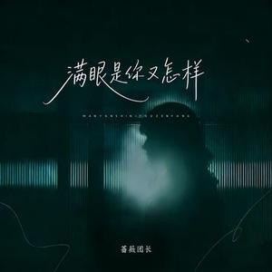 满眼是你又怎样 (合唱版)