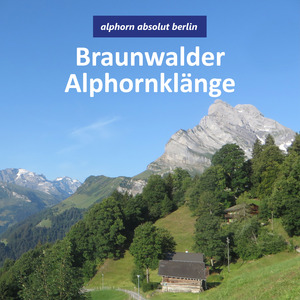 Die Braunwaldbahn
