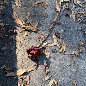 Time Will Always Go On