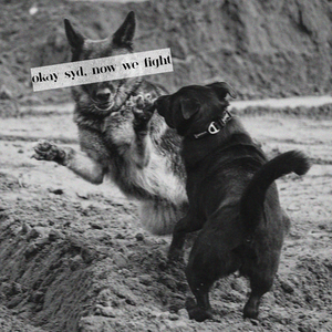 okay syd, now we fight