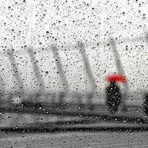 偷得浮生半日闲