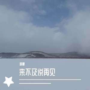 来不及说再见（翻自 艾辰）