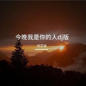 今晚我是你的人dj