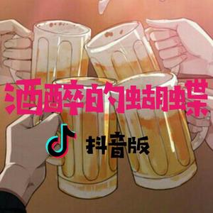 酒醉的蝴蝶（抖音版）