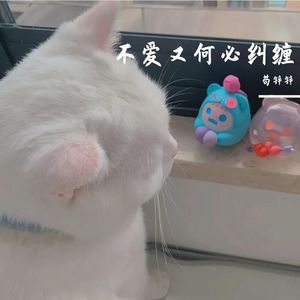 不爱又何必纠缠