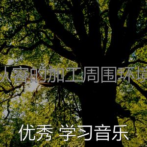 抚慰的专注回忆