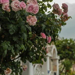 My Favorite Season You