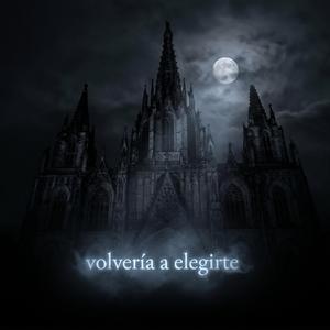 volvería a elegirte