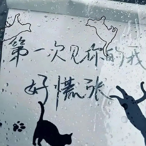 去年夏天（降调dj版）