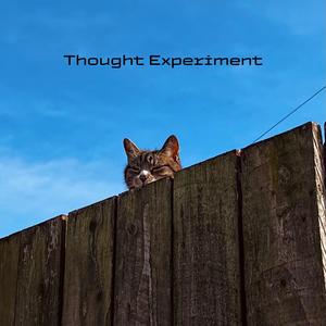 Thought Experiment