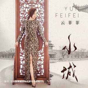 小城 (DJ何鹏版)