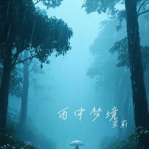 雨中梦境