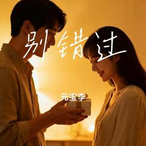 别错过 (元宝李 Remix)