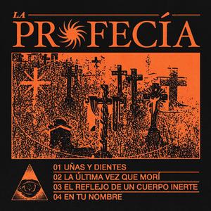 El Reflejo de Un Cuerpo Inerte