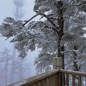 好几年1642248052510