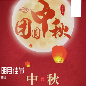 花好月圆人团圆 伴奏