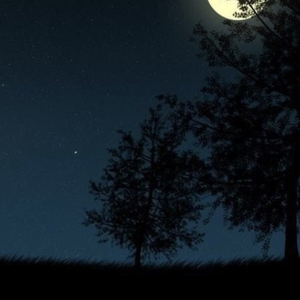 夜野(feat.Acondaway)