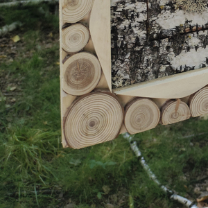 你问我为什么拼命挣钱