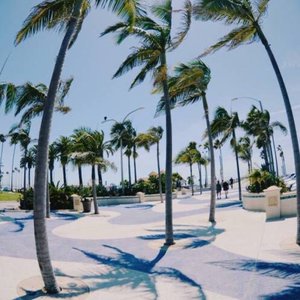 Face To The Evil(Feat.LL)