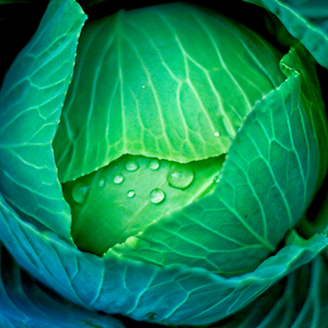 一念一清净 (舒缓纯音乐)