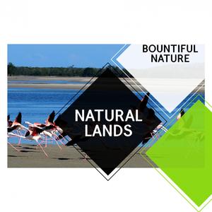 Embrace the Gentle Breeze of Dawn