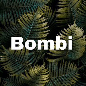 Bombi
