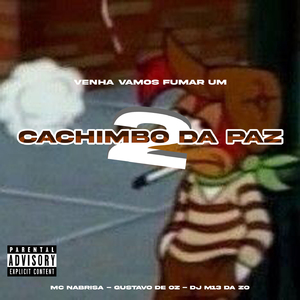 CACHIMBO DA PAZ 2