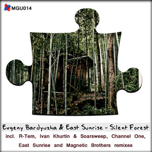 Silent Forest (East Sunrise Remix)