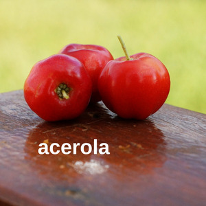 Acerola