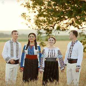 Haideți Fraților Acasă