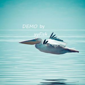 Fish Fish Funny Face