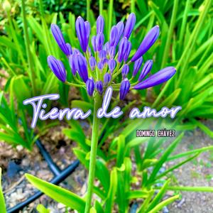 Tierra de amor