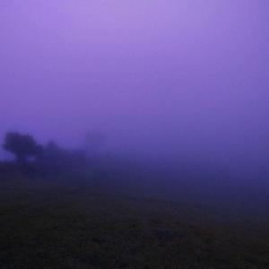 morning after midnight