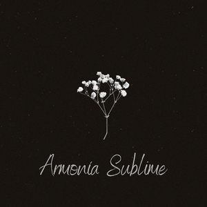 Armonía Sublime