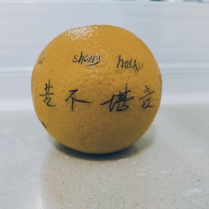 只愿一生爱一人