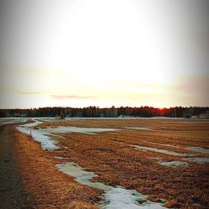 Takapenkille (feat. Lil Seks)