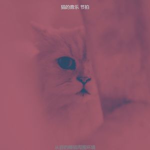 有趣放松的猫情怀
