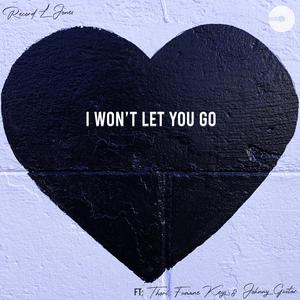 I Won't Let You Go (feat. Thori, Fumane Keys & Johnny Guitar)