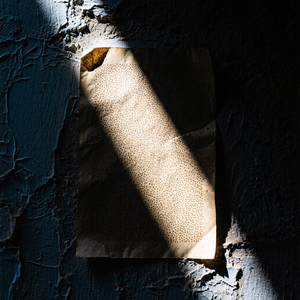 就让眼泪记得你