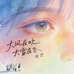 大风在吹大雪在飞