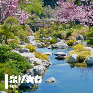 泉忆青春