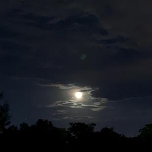 Kevin Krauter-Nightmare（渡 remix）