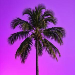 Cherry cherry (TikTokVersion)