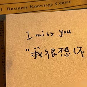 晚风吹来你身体的气息，让我变得不孤单