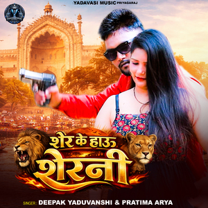 Sher Ke How Tu Sherni